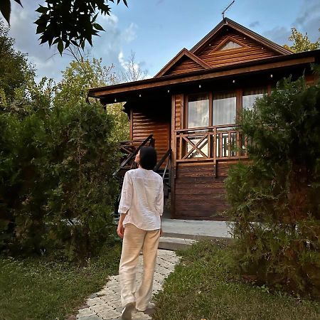 Poiana Bradului Complex Hotelier & Restaurant Colonita المظهر الخارجي الصورة